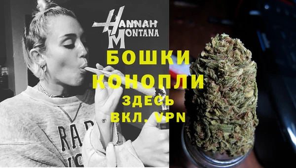 ГАЛЛЮЦИНОГЕННЫЕ ГРИБЫ Нефтекумск