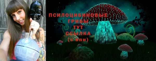 мяу мяу мука Нея