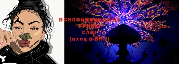 ГАЛЛЮЦИНОГЕННЫЕ ГРИБЫ Нефтекумск