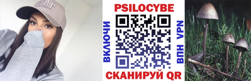 Псилоцибиновые грибы GOLDEN TEACHER  Самара 